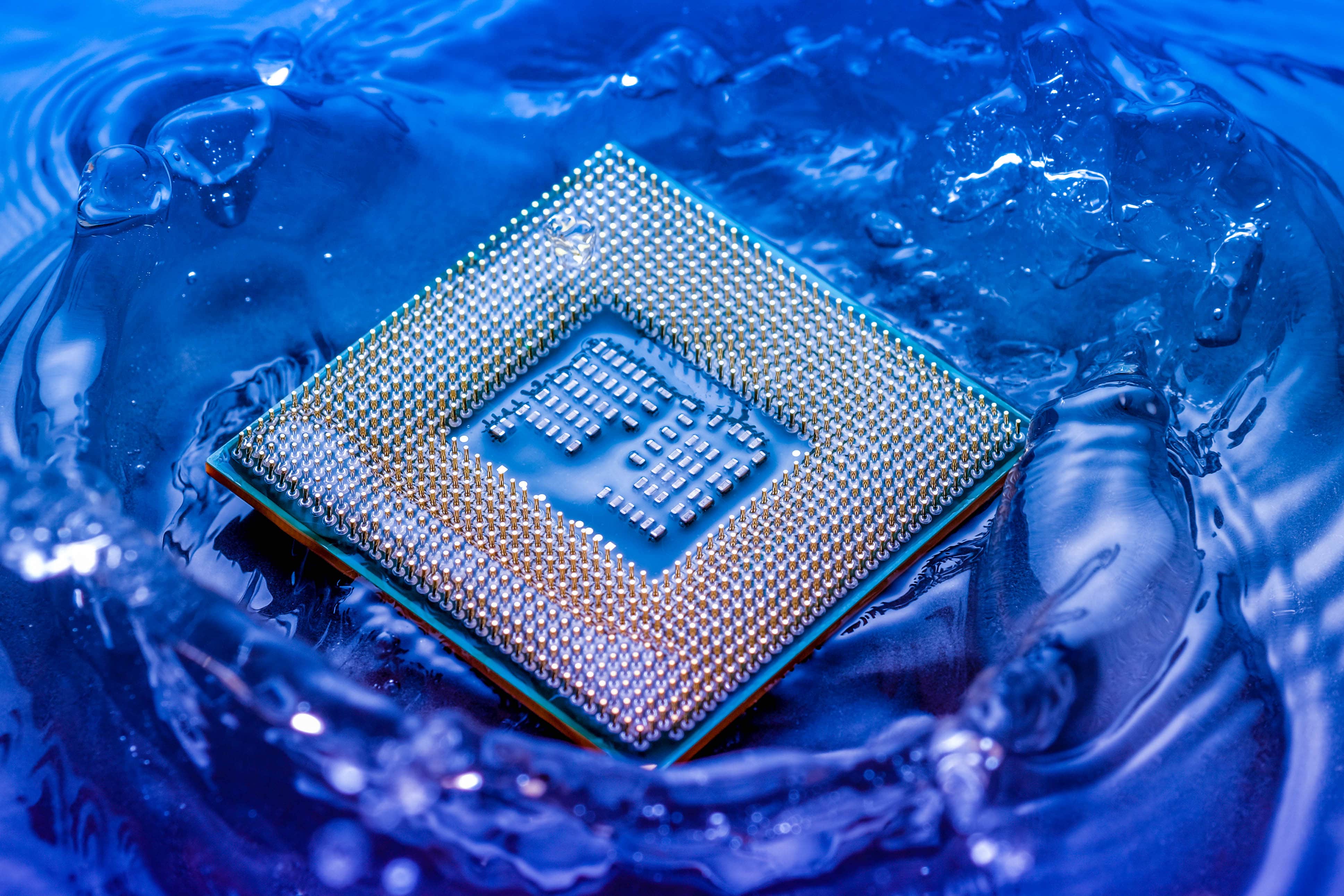 chip in water